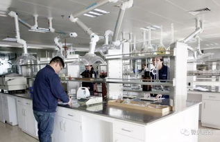 肥西縣高新技術企業認定實現新突破，社會經濟咨詢服務賦能產業升級