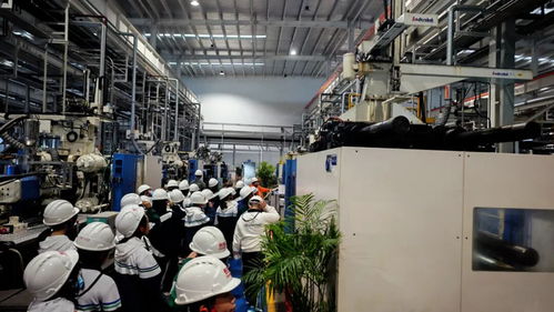 秋假啟航，長虹雙創園打造工業科技研學新標桿 信息技術的深度開發之旅